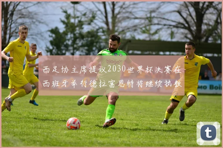 西足协主席提议2030世界杯决赛在西班牙举行德拉富恩特将继续执教国家队