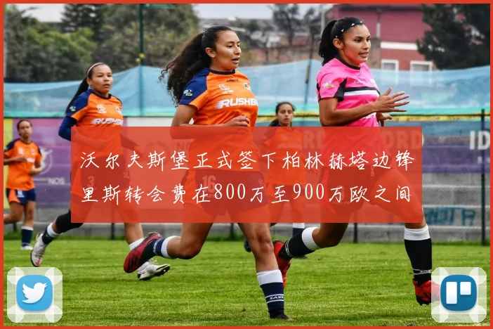 沃尔夫斯堡正式签下柏林赫塔边锋里斯转会费在800万至900万欧之间